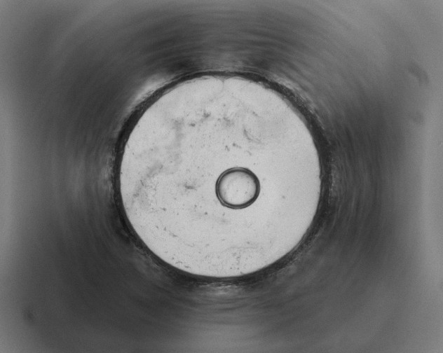 X0000116811314200912311948