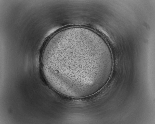 X0000116811315200912311948