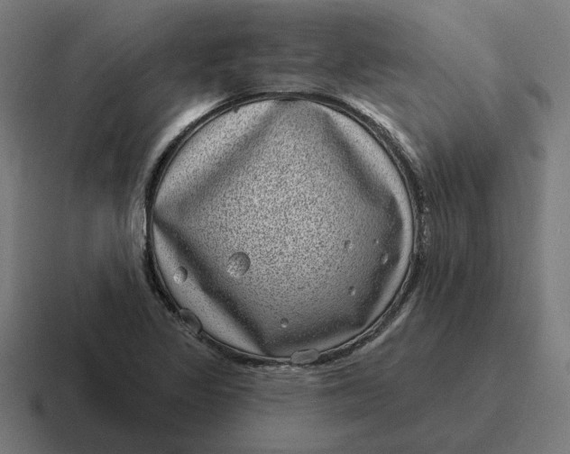 X0000116811317200912311948