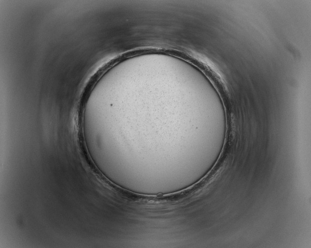 X0000116811318200912311948