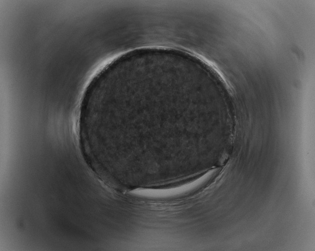 X0000116811319200912311948