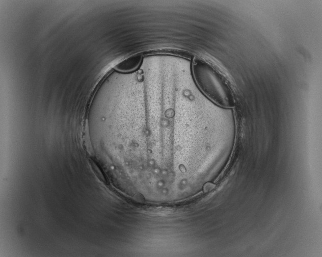 X0000116811321200912311948