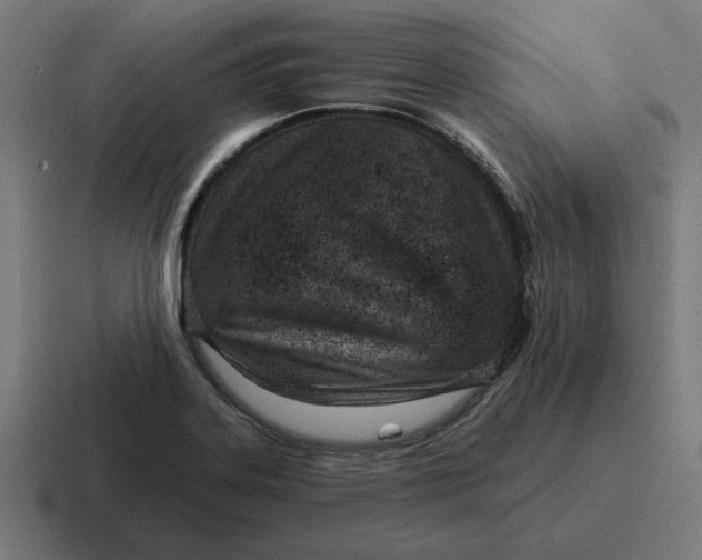 X0000116811323200912311948