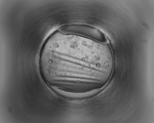 X0000116811325200912311948