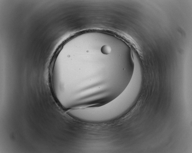 X0000116811326200912311948