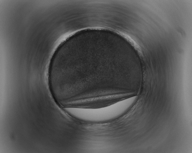 X0000116811327200912311948