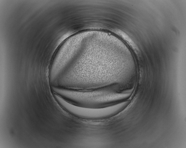 X0000116811329200912311948