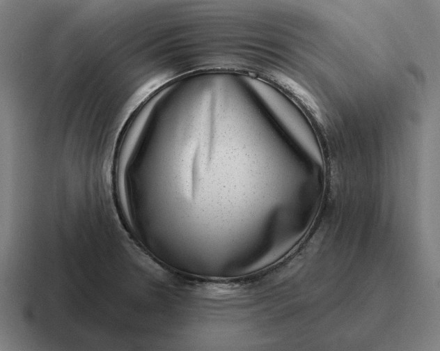 X0000116811330200912311948