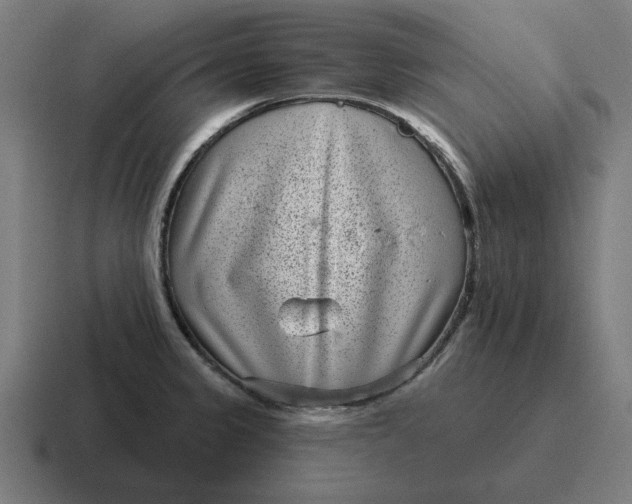 X0000116811333200912311948