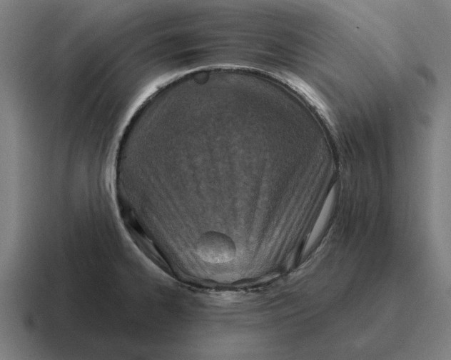 X0000116811334200912311948