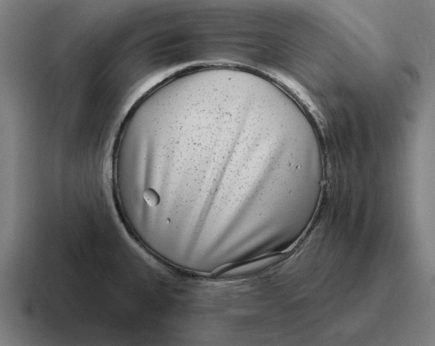 X0000116811335200912311948