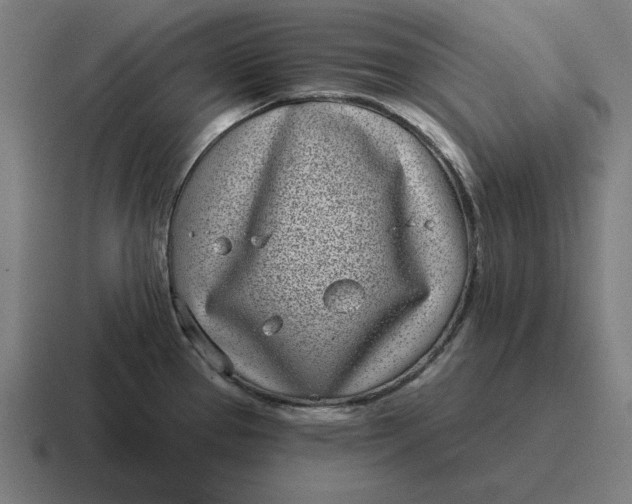 X0000116811337200912311948