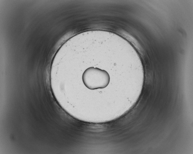 X0000116811338200912311948