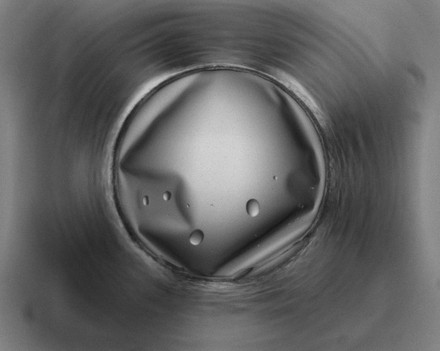 X0000116811339200912311948