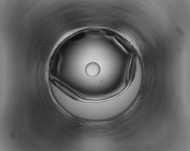 X0000116811342200912311948