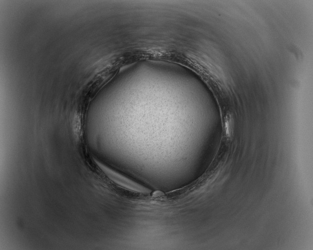 X0000116811347200912311947