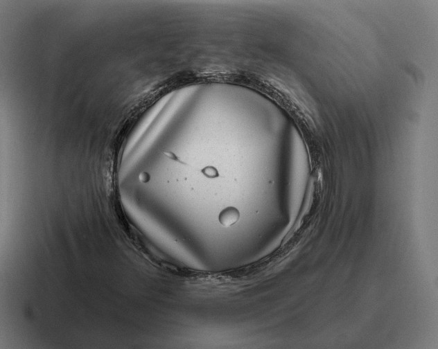 X0000116811348200912311947