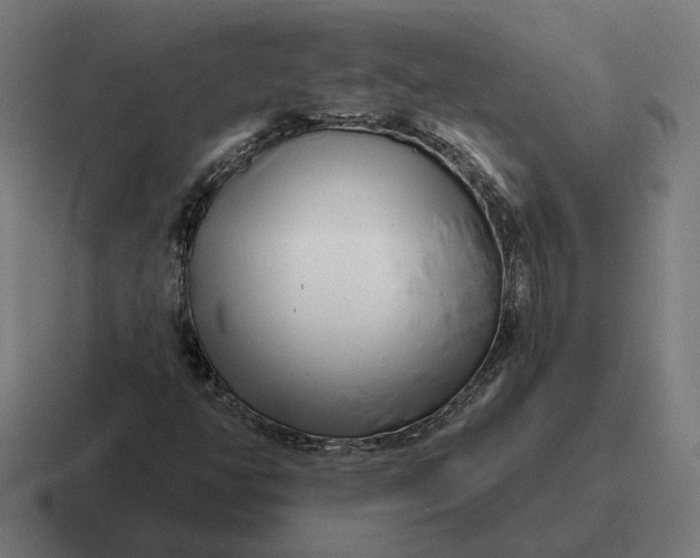 X0000116811350200912311947