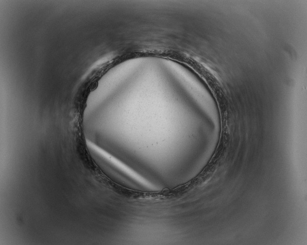 X0000116811351200912311947