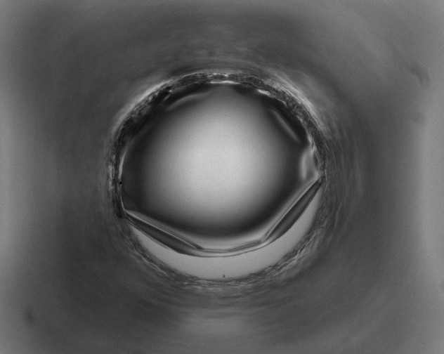 X0000116811352200912311947