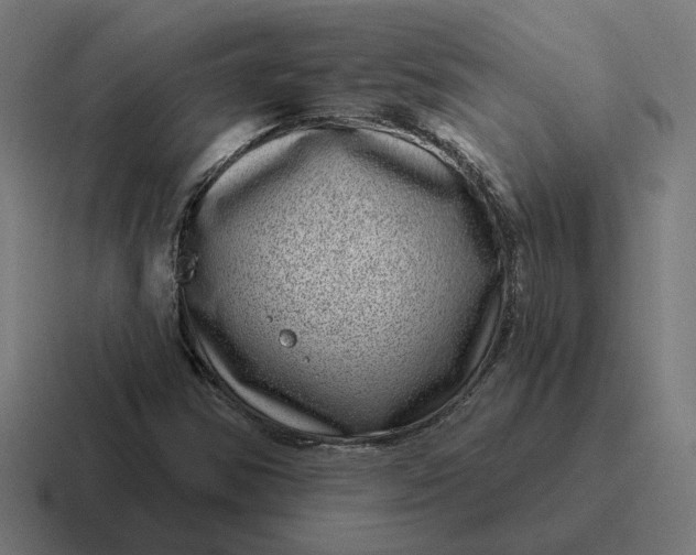 X0000116811354200912311947