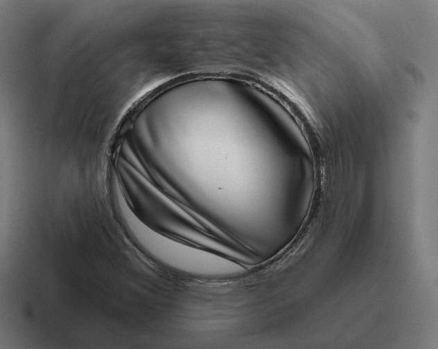 X0000116811356200912311947