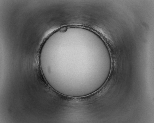 X0000116811358200912311947