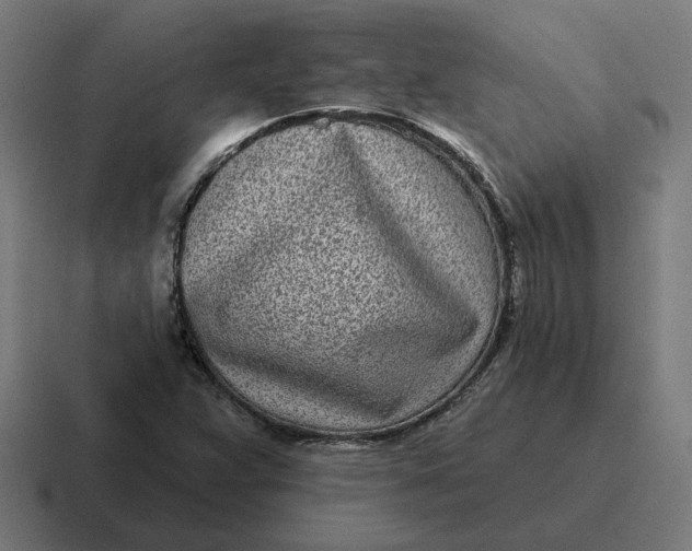 X0000116811359200912311947