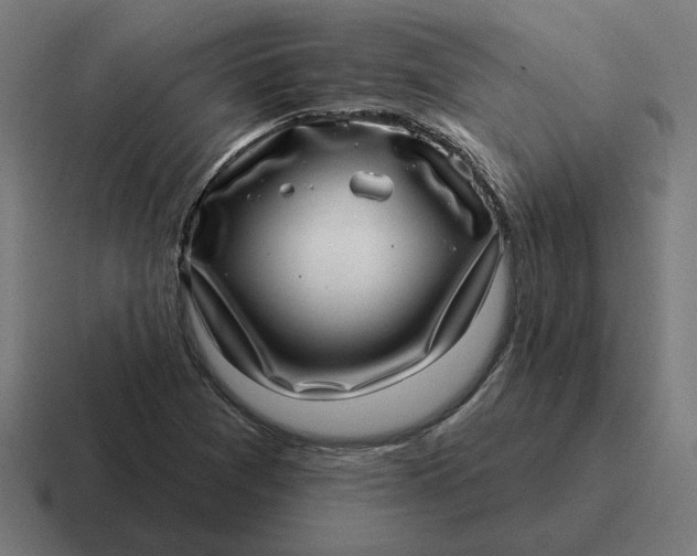 X0000116811361200912311947