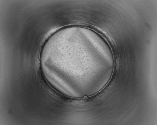 X0000116811363200912311947