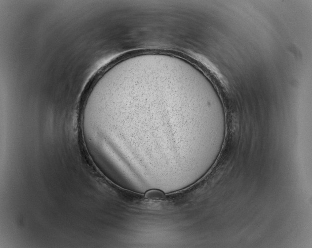 X0000116811364200912311947