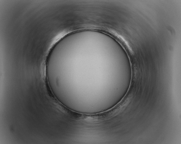 X0000116811365200912311947