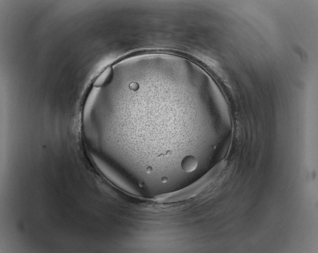 X0000116811366200912311947