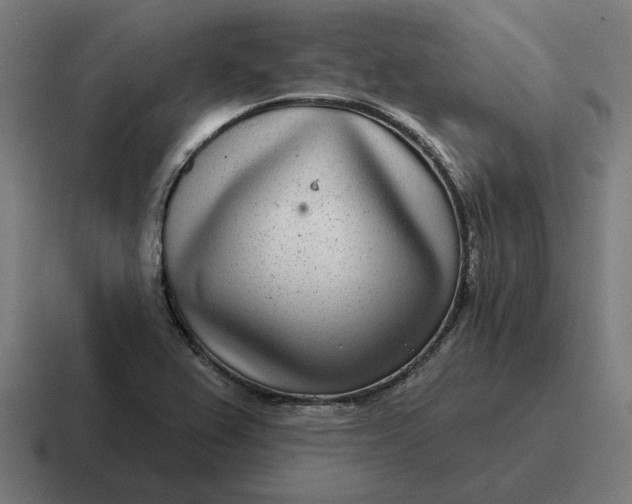 X0000116811367200912311947