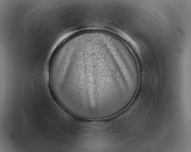 X0000116811368200912311947