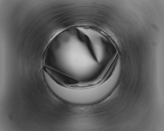 X0000116811369200912311947