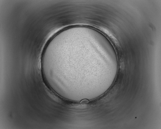 X0000116811372200912311947