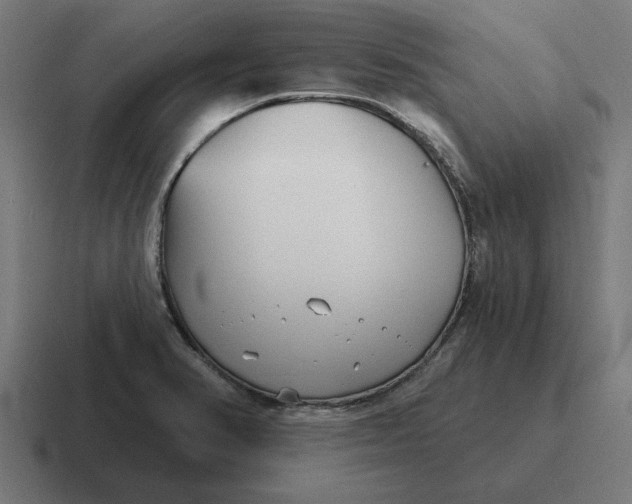 X0000116811374200912311947