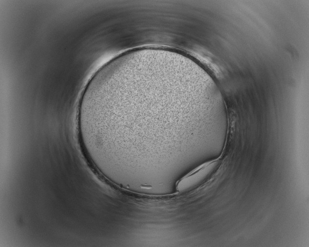 X0000116811375200912311947