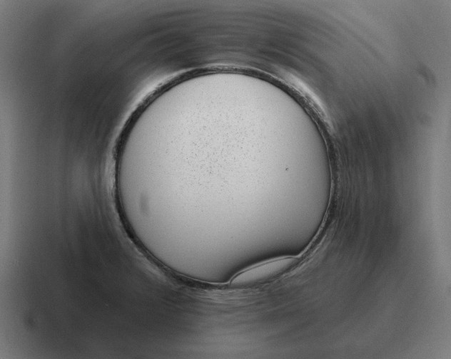 X0000116811376200912311947