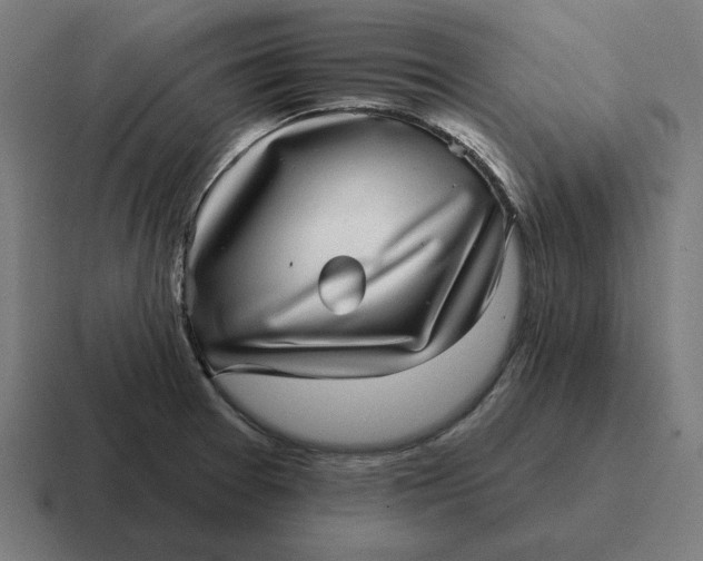 X0000116811377200912311947