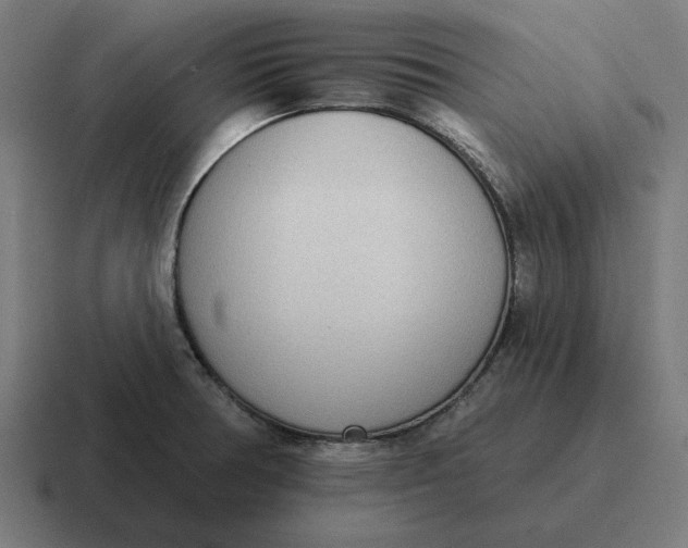 X0000116811378200912311947