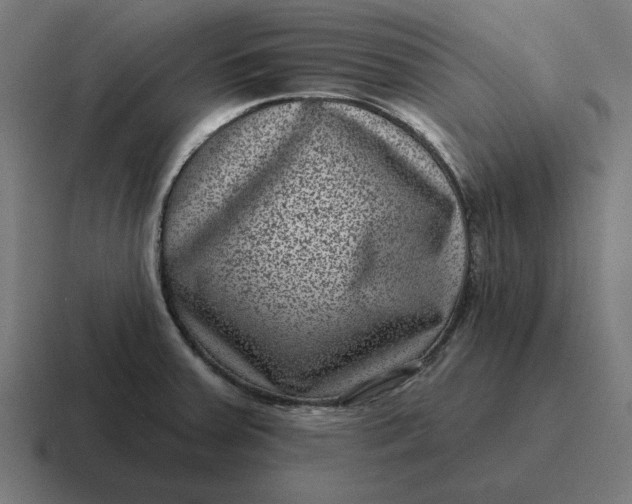 X0000116811379200912311947