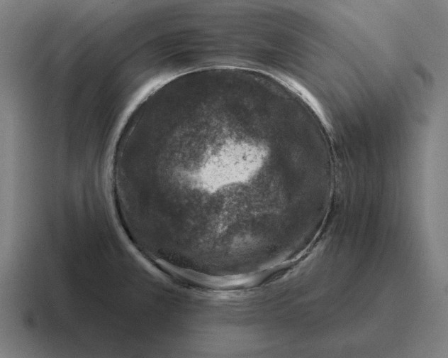 X0000116811381200912311947