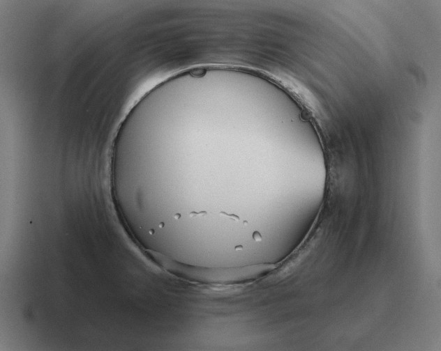 X0000116811382200912311947