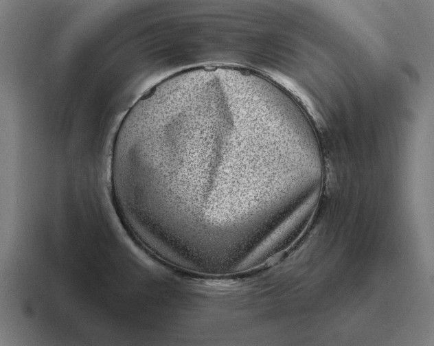 X0000116811383200912311947