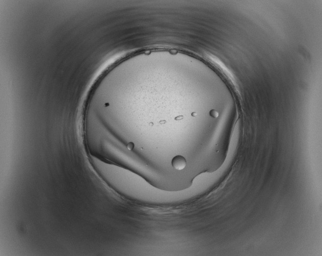 X0000116811384200912311947