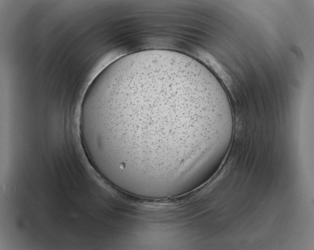 X0000116811386200912311947