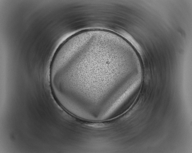 X0000116811388200912311947