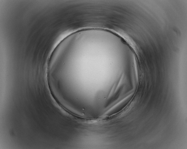 X0000116811390200912311947